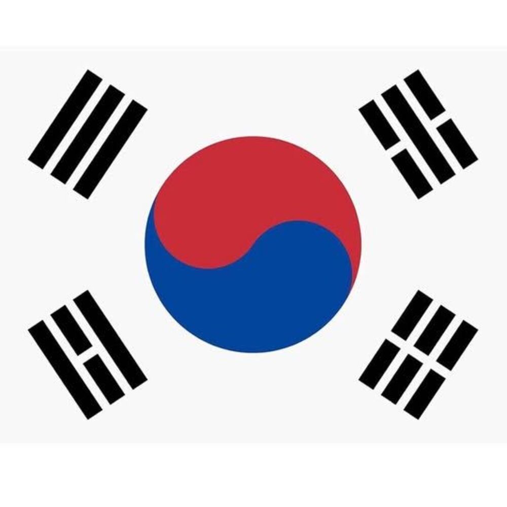 South Korea National Flag 3x5 BTS Army Concert new
